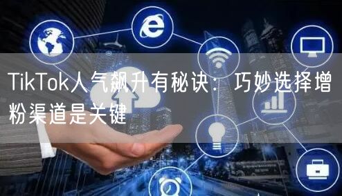 TikTok人气飙升有秘诀：巧妙选择增粉渠道是关键