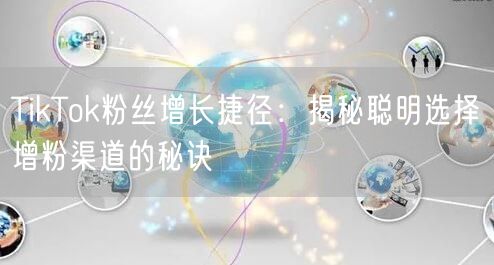 TikTok粉丝增长捷径：揭秘聪明选择增粉渠道的秘诀