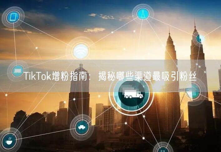 TikTok增粉指南：揭秘哪些渠道最吸引粉丝