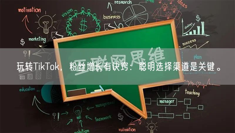 玩转TikTok，粉丝增长有诀窍：聪明选择渠道是关键。
