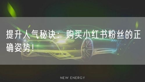 提升人气秘诀：购买小红书粉丝的正确姿势！