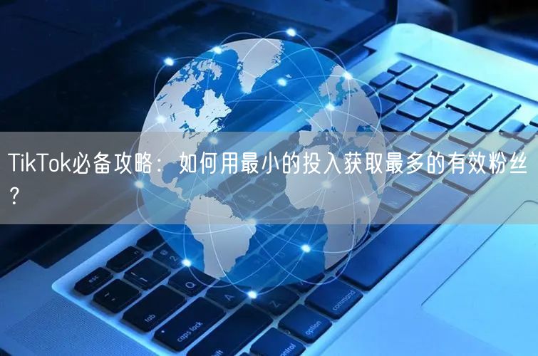 TikTok必备攻略：如何用最小的投入获取最多的有效粉丝？