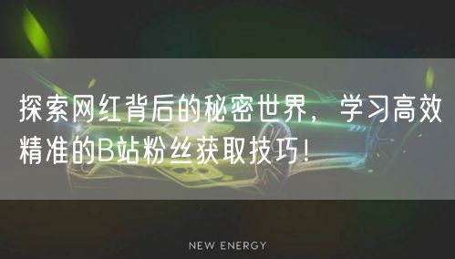 探索网红背后的秘密世界，学习高效精准的B站粉丝获取技巧！