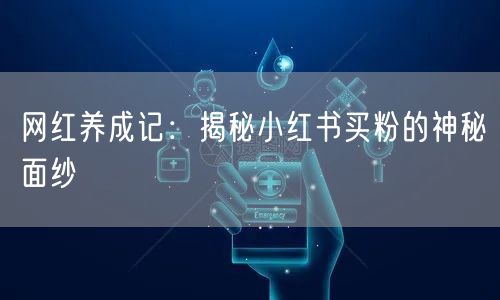 网红养成记：揭秘小红书买粉的神秘面纱