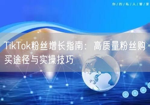TikTok粉丝增长指南：高质量粉丝购买途径与实操技巧