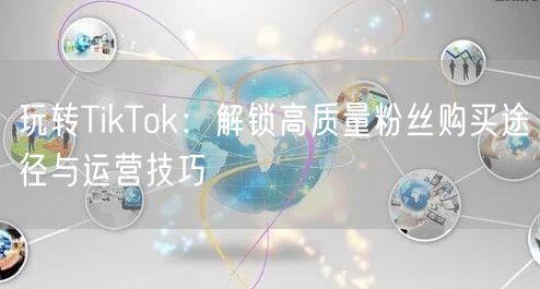玩转TikTok：解锁高质量粉丝购买途径与运营技巧