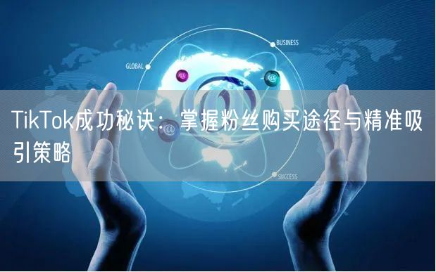 TikTok成功秘诀：掌握粉丝购买途径与精准吸引策略