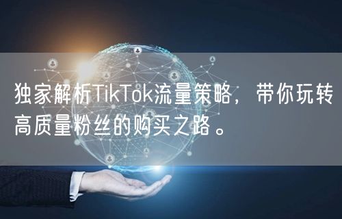 独家解析TikTok流量策略，带你玩转高质量粉丝的购买之路。
