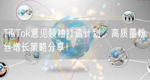 TikTok意见领袖打造计划：高质量粉丝增长策略分享！