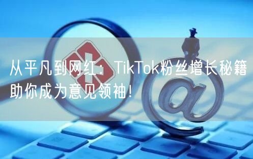 从平凡到网红：TikTok粉丝增长秘籍助你成为意见领袖！