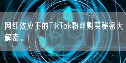 网红效应下的TikTok粉丝购买秘密大解密。