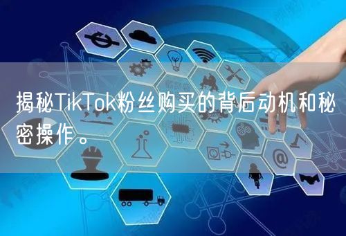 揭秘TikTok粉丝购买的背后动机和秘密操作。
