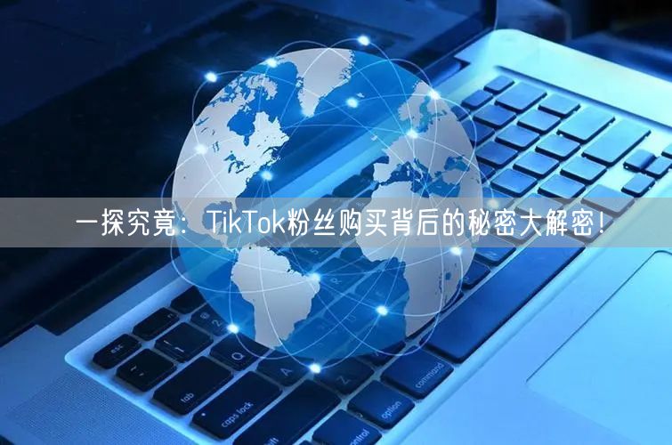 一探究竟：TikTok粉丝购买背后的秘密大解密！