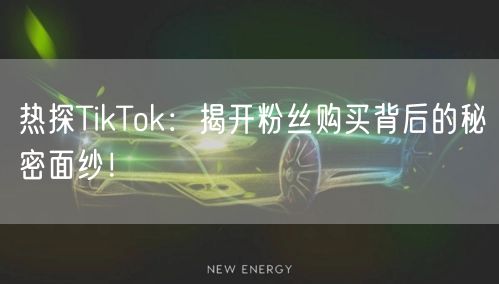 热探TikTok：揭开粉丝购买背后的秘密面纱！