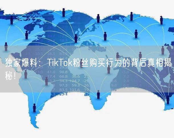 独家爆料：TikTok粉丝购买行为的背后真相揭秘！