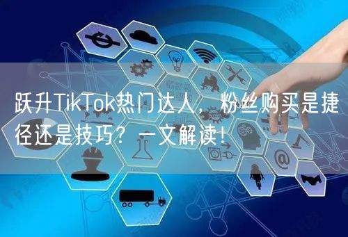 跃升TikTok热门达人，粉丝购买是捷径还是技巧？一文解读！