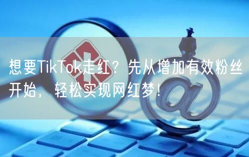 想要TikTok走红？先从增加有效粉丝开始，轻松实现网红梦！