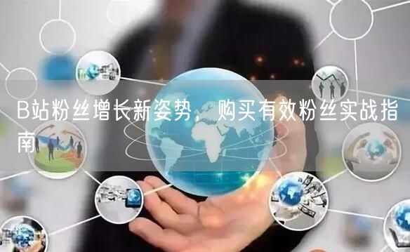 B站粉丝增长新姿势，购买有效粉丝实战指南