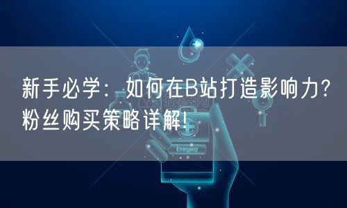 新手必学：如何在B站打造影响力？粉丝购买策略详解!