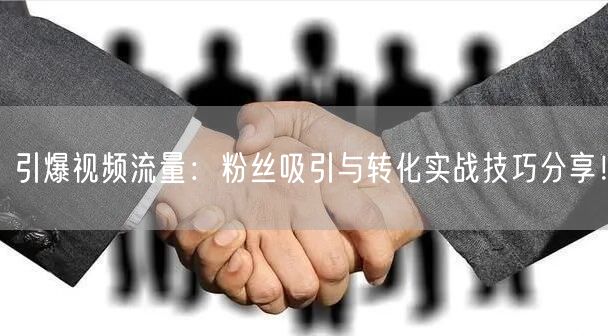 引爆视频流量：粉丝吸引与转化实战技巧分享！