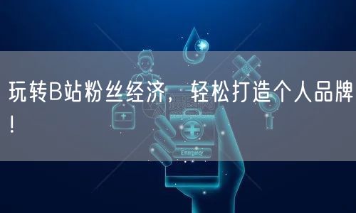 玩转B站粉丝经济，轻松打造个人品牌！