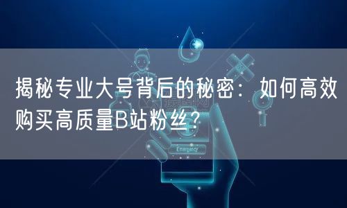 揭秘专业大号背后的秘密：如何高效购买高质量B站粉丝？