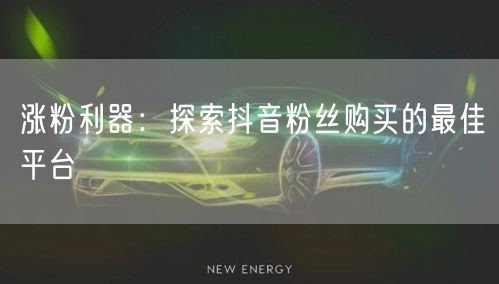 涨粉利器：探索抖音粉丝购买的最佳平台