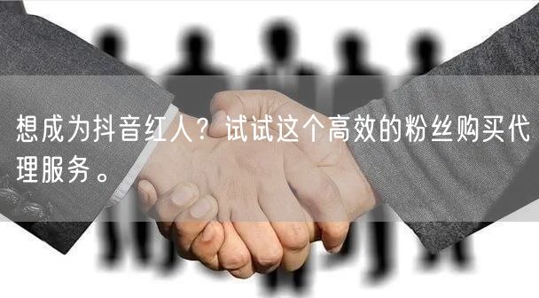 想成为抖音红人？试试这个高效的粉丝购买代理服务。