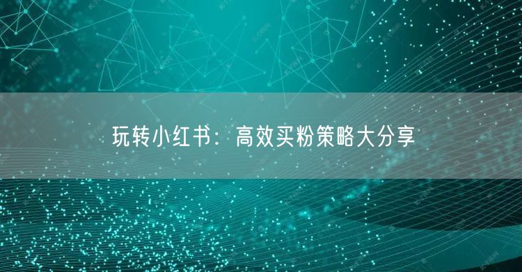 玩转小红书：高效买粉策略大分享