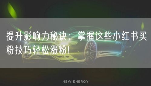 提升影响力秘诀：掌握这些小红书买粉技巧轻松涨粉!