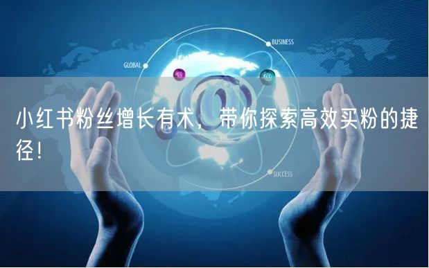 小红书粉丝增长有术，带你探索高效买粉的捷径！