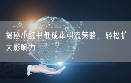 揭秘小红书低成本引流策略，轻松扩大影响力