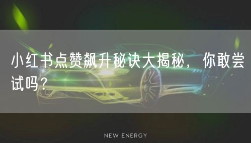 小红书点赞飙升秘诀大揭秘，你敢尝试吗？