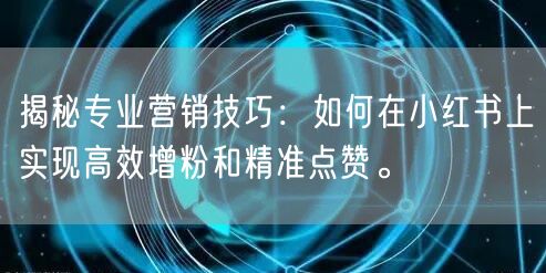揭秘专业营销技巧：如何在小红书上实现高效增粉和精准点赞。