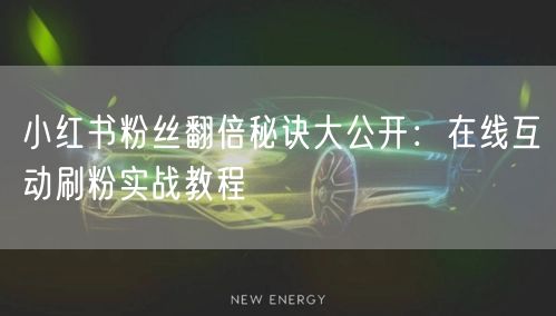 小红书粉丝翻倍秘诀大公开：在线互动刷粉实战教程