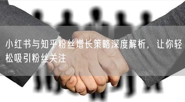 小红书与知乎粉丝增长策略深度解析，让你轻松吸引粉丝关注