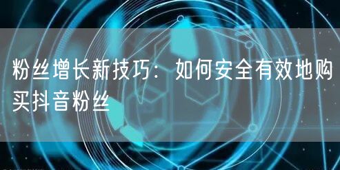 粉丝增长新技巧：如何安全有效地购买抖音粉丝