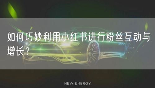 如何巧妙利用小红书进行粉丝互动与增长？