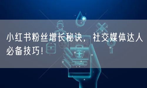 小红书粉丝增长秘诀，社交媒体达人必备技巧！