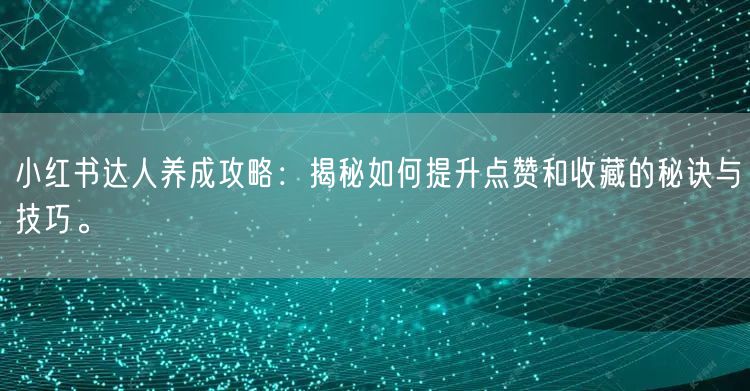 小红书达人养成攻略：揭秘如何提升点赞和收藏的秘诀与技巧。