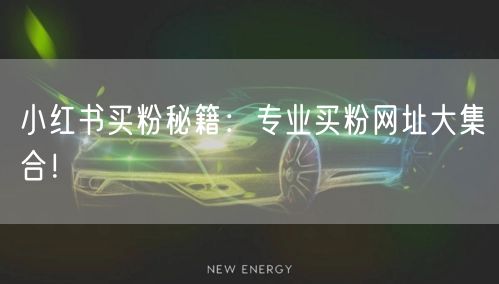 小红书买粉秘籍：专业买粉网址大集合！