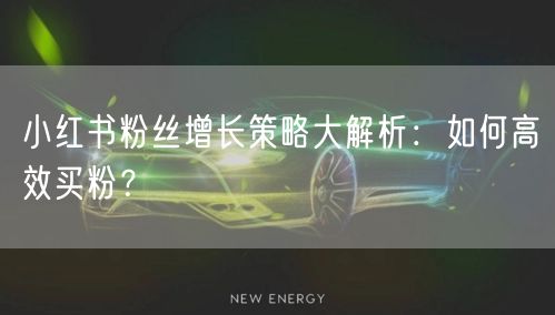 小红书粉丝增长策略大解析：如何高效买粉？