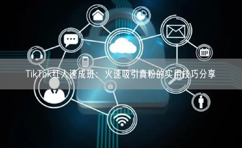 TikTok红人速成班：火速吸引真粉的实用技巧分享
