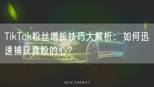 TikTok粉丝增长技巧大解析：如何迅速捕获真粉的心？